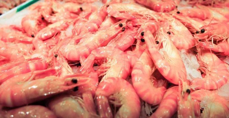 Camarones zulianos se esperan con ansias en tres continentes