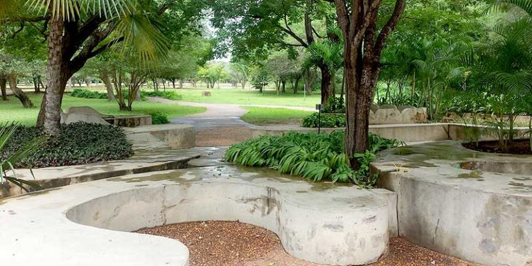 Jardín Botánico de Maracaibo, ¿Terreno fértil para los negocios?