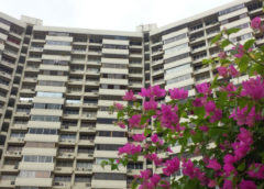 Residencias Mirador del Lago: De utopía multicultural a «Torre de Babel»