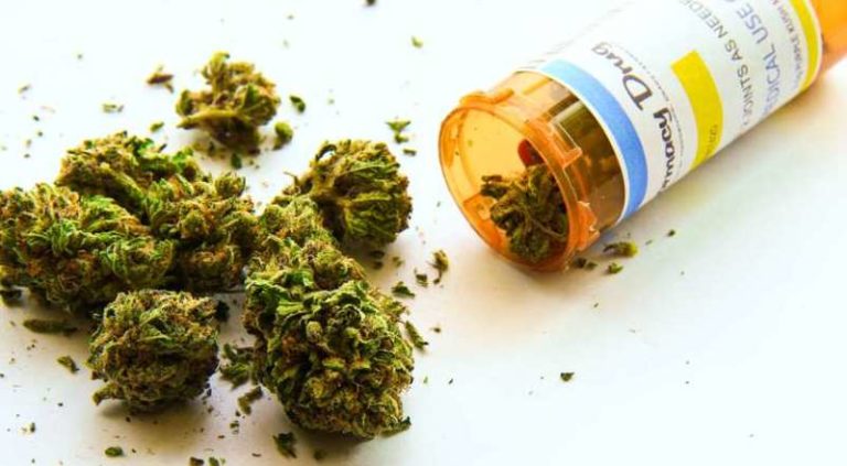 Marihuana: ¿Está Venezuela preparada para legalizar su consumo, venta y producción?