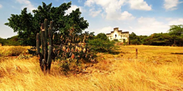 Providencia: “La isla del olvido”, que devora hombres y megaproyectos