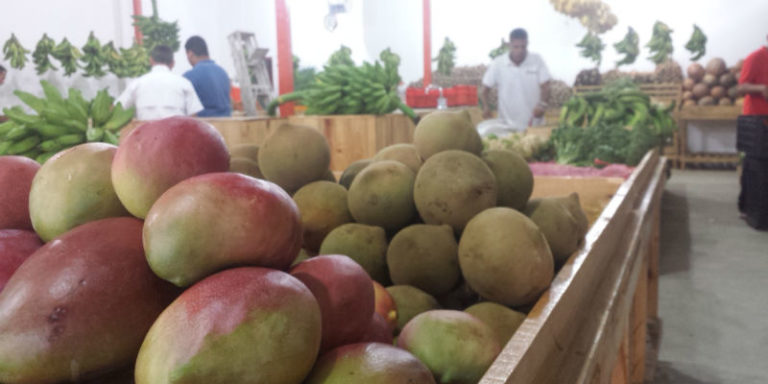 "La Mano de Dios" esparce sus frutos en la zona gourmet