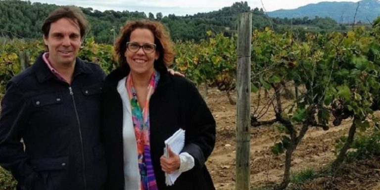 copa de vino