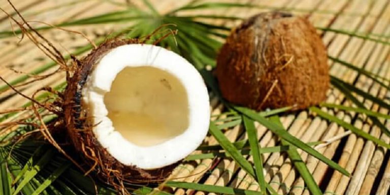 coco gastronomía zuliana