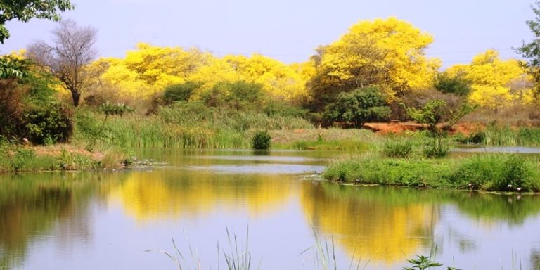 jardín botánico