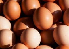 ¡El precio de los huevos sigue bajando! Kiri, Nivar y la Rosa hacen descuentos. ¿Qué está ocurriendo en realidad?