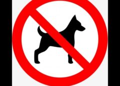 El mismísimo Alfredo Cohen abre un debate sobre la permanencia de perros en las instalaciones del Sambil